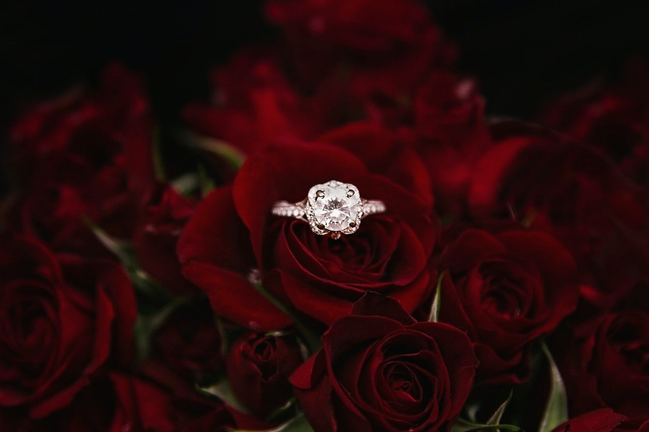 A two-tone engagement ring sits among the petals of red roses.