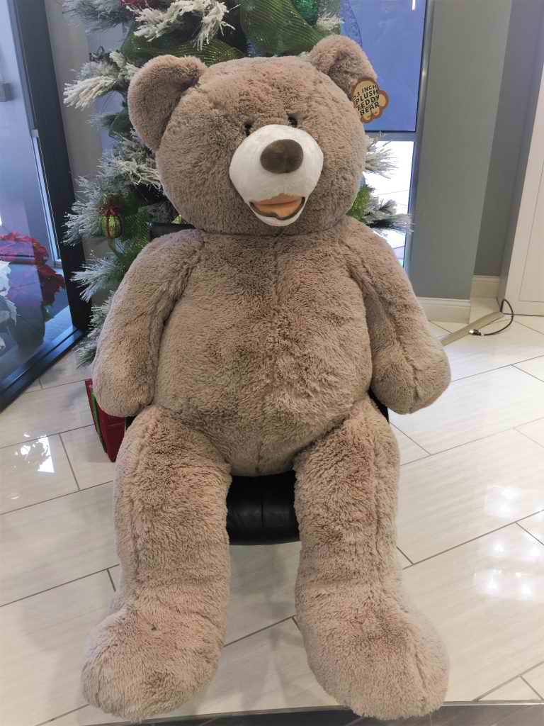 Bring Teddy Home! Bring Teddy Home!
