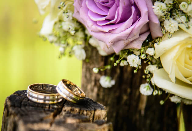Wedding Bands from BARONS Jewelers on a Tree Stump